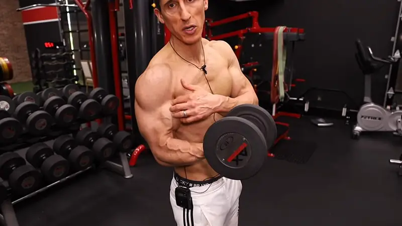 Are Triceps Bigger Than Biceps?