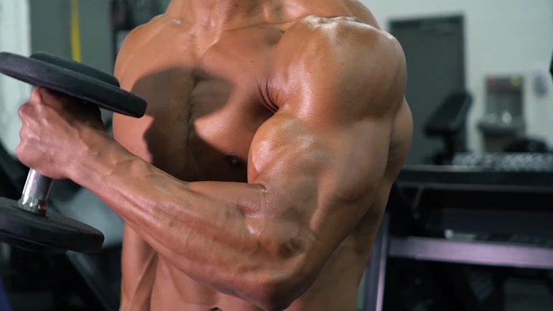 Arms Curl