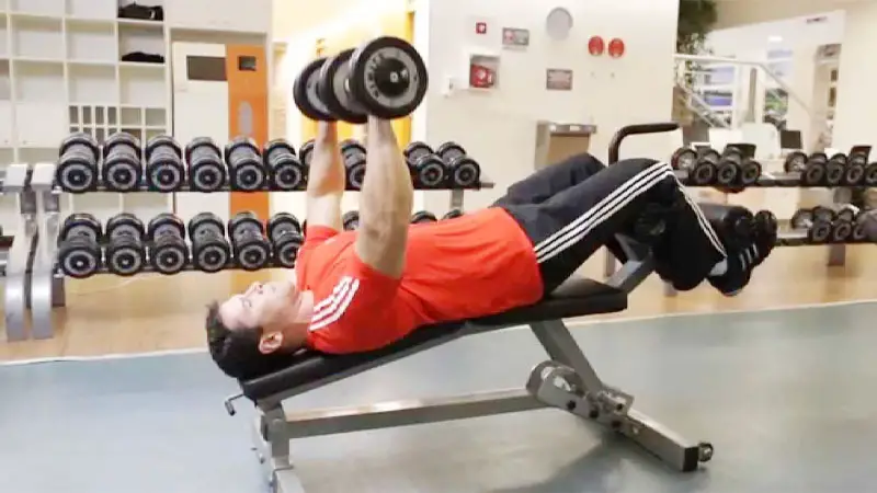Muscles Does Decline Bench Press Work