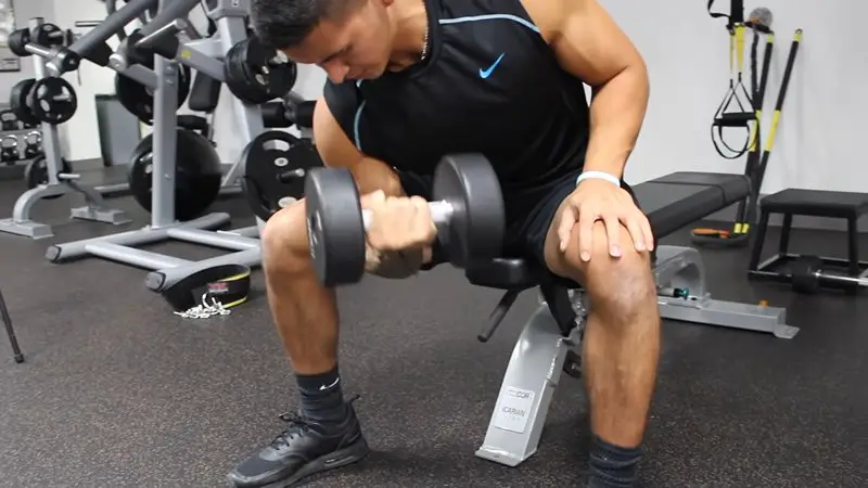 Arms Curl
