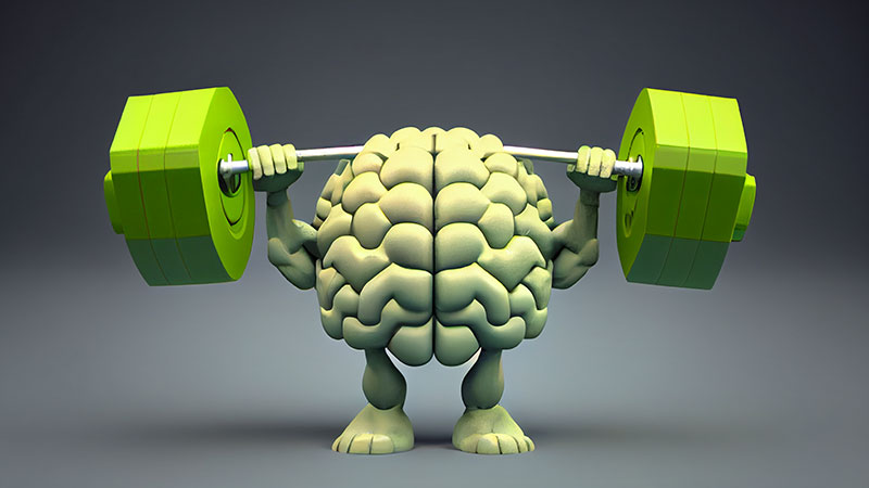 Brain Fitness Exercises for Seniors