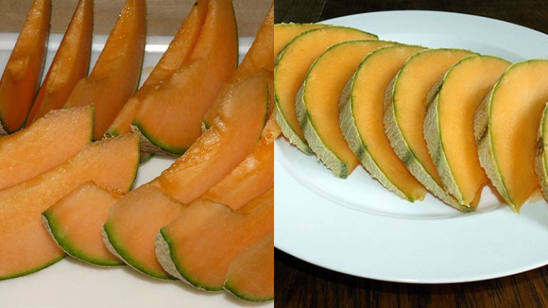 Honeydew Vs Cantaloupe Nutrition Which Melon Is Better For Your Diet Honeydew Vs Cantaloupe Nutrition Which Melon Is Better For Your Diet