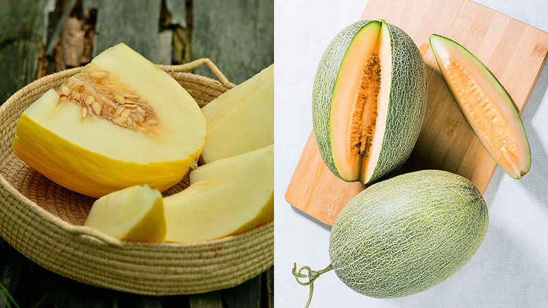 Honeydew Vs Cantaloupe Nutrition Which Melon Is Better For Your Diet Honeydew Vs Cantaloupe Nutrition Which Melon Is Better For Your Diet